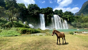 a horse standing in front of a waterfall