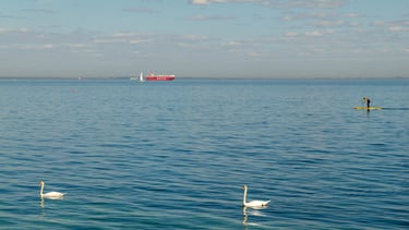 Horizon scanning and analysis: spot tomorrow’s challenges today.