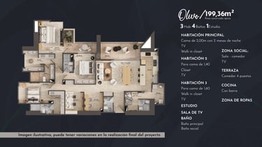 Arvore, Tipología de apartamento Olivo en Pereira