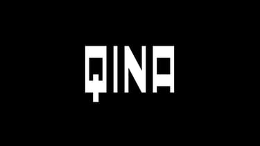 Qina Logo Design White