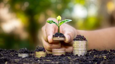 a person holding a plant growing from coins