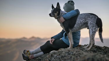 Ein Hund sitzt auf einem Felsen und eine Person hält einen Hund