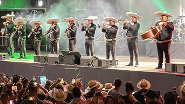 Mariachi en fiesta privada en Madrid