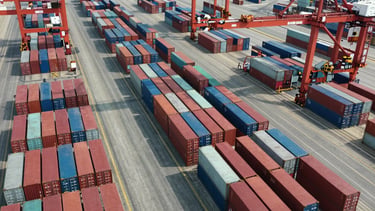 Overhead shot of an organised container terminal yard under cool daylight, coloured containers in precise rows with crane gantries visible, no people, clean geometric order