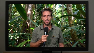 Wide 16:9 broadcast monitor frame showing a live-feed still from a jungle field report ā a journalist holding a microphone in dense Amazon vegetation, natural daylight filtering through canopy, broadcast overlay graphics visible on screen edges, urgency in the framing, no staging
