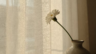 Close-up of raw linen texture, a single delicate white floral stem in a handmade ceramic vase, warm soft golden hour light, editorial 35mm film style.