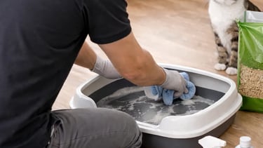 service litière entretien de bacs et maisons de toilette pour chats