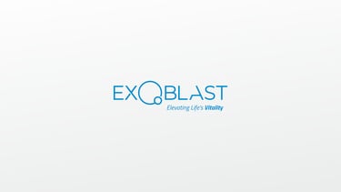 Font / Exoblast  Logo Branding ve Broşür Tasarımları