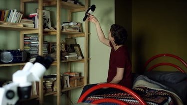 semina il vento Federica Bologna