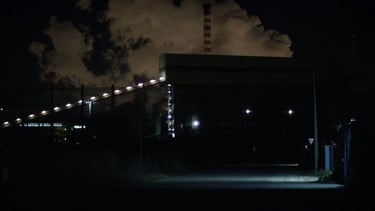 semina il vento Federica Bologna