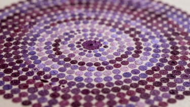 Extreme close-up of a pointillist painting surface, hundreds of precise ink dots in deep aubergine and soft lavender arranged in concentric arcs, diffuse north-facing studio light revealing the slight topography of each applied mark, warm ivory ground visible between clusters