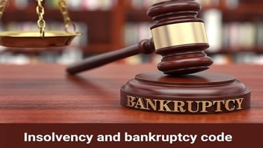 Insolvency and bankruptcy
