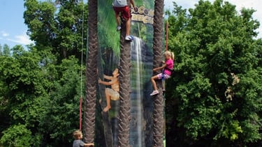 Unique coconut tree rock wall