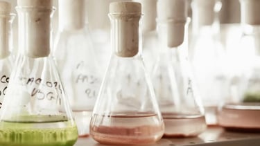 Cosmetique Phytoceane : soins écoresponsables en institut de Lagord, près de La Rochelle