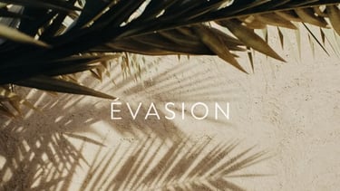 Evasion sensorielle avec les soins Phytoceane - Soins marins et végétaux à Lagord, La Rochelle