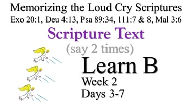 Learn B (Days 3-7)