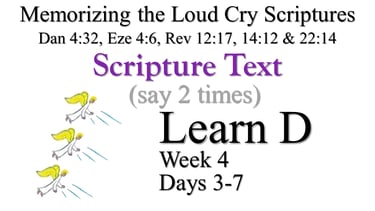 Learn D (Days 3-7)