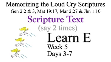 Learn E (Days 3-7)