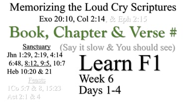 Learn F1 (Days 1-4)
