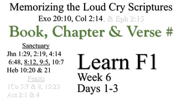 Learn F1 (Days 1-3)
