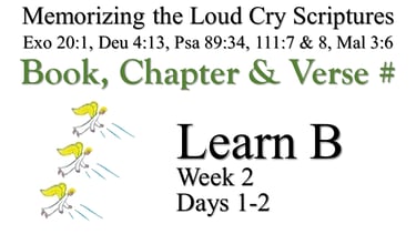 Learn B (Days 1-2)