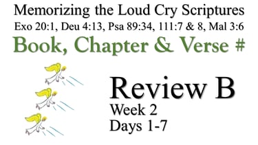 Review B (Days 1-7)