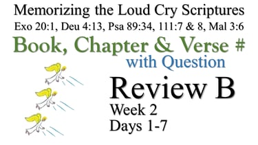 Review B (Days 1-7) with Q