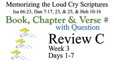 Review C (Days 1-7) with Q
