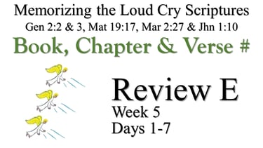 Review E (Days 1-7)