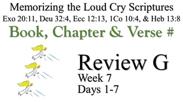 Review G (Days 1-7)