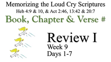 Review I (Days 1-7)