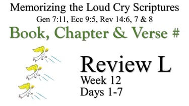 Review L (Days 1-7)