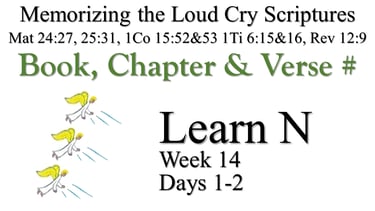 Learn N (Days 1-2)