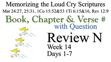 Review N (Days 1-7) with Q