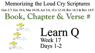 Learn Q (Days 1-2)