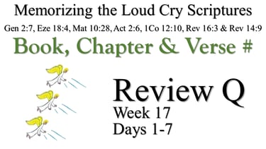 Review Q (Days 1-7)