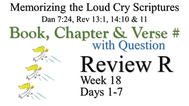 Review R (Days 1-7) with Q