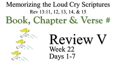 Review V (Days 1-7)