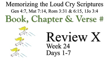 Review X (Days 1-7)