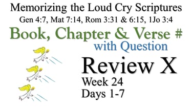 Review X (Days 1-7) with Q