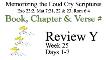 Review Y (Days 1-7)