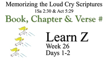 Learn Z (Days 1-2)