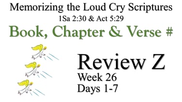 Review Z (Days 1-7)