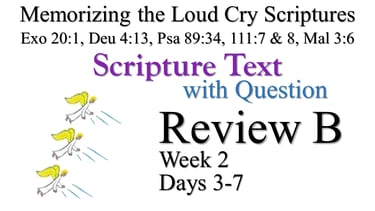 Review B (Days 3-7) with Q