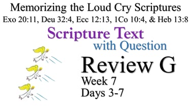 Review G (Days 3-7) with Q