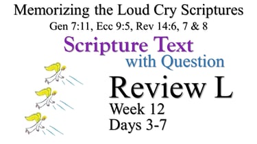 Review B (Days 3-7) with Q