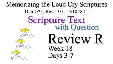Review R (Days 3-7) with Q