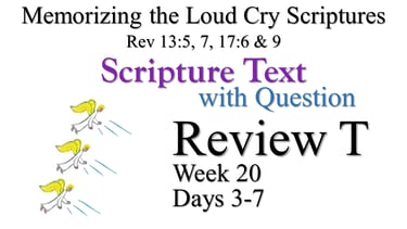 Review T (Days 3-7) with Q