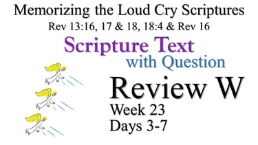 Review W (Days 3-7) with Q