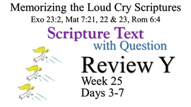 Review Y (Days 3-7) with Q